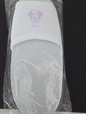 Tokyo Disney Resort Fantasy Springs Hotel Slippers Adult Sized